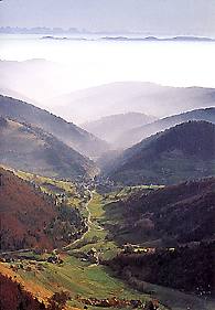 Informationen über Landschaften im Schwarzwald